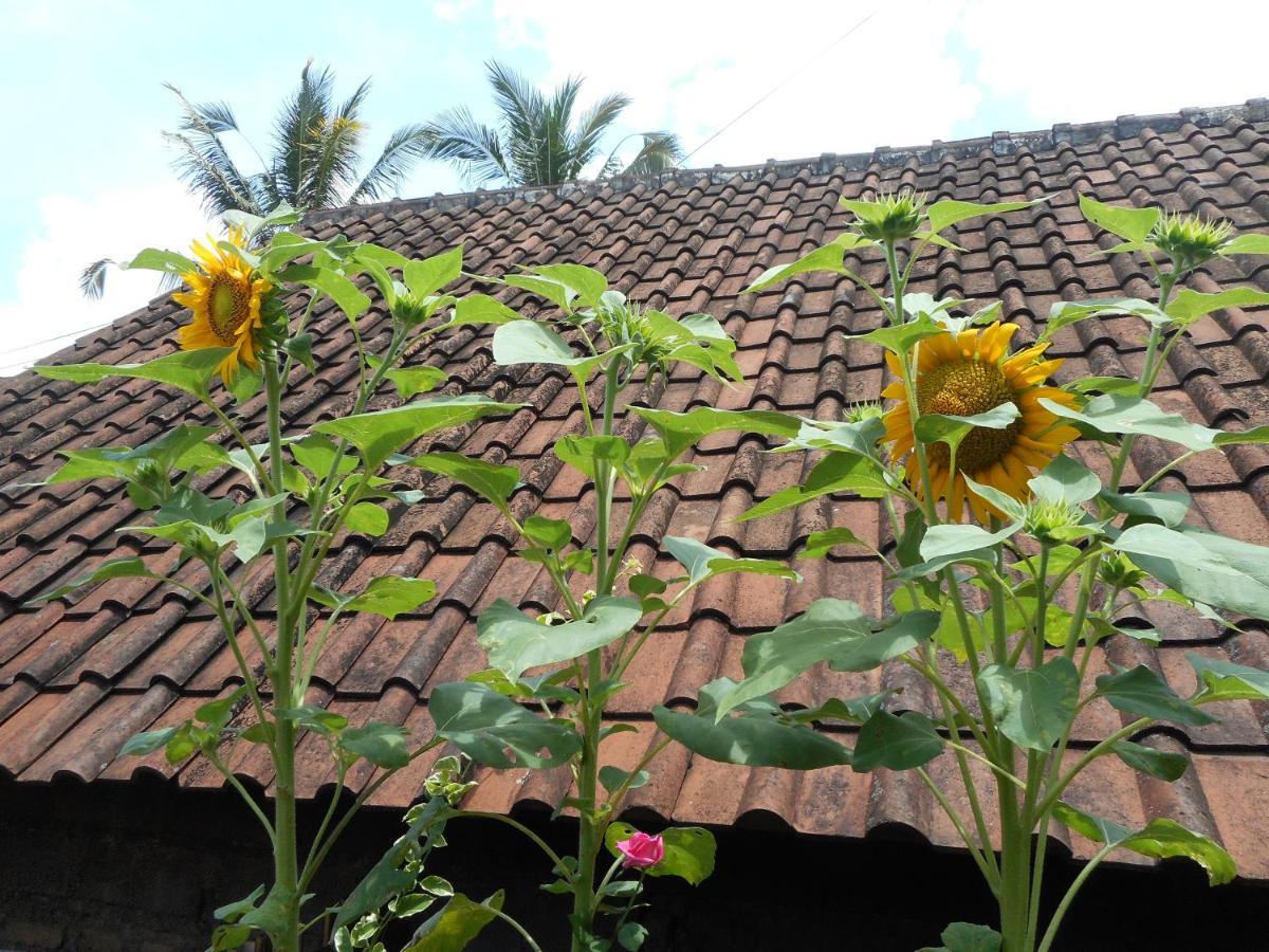 Ming Homestay Sidemen  Exteriér fotografie
