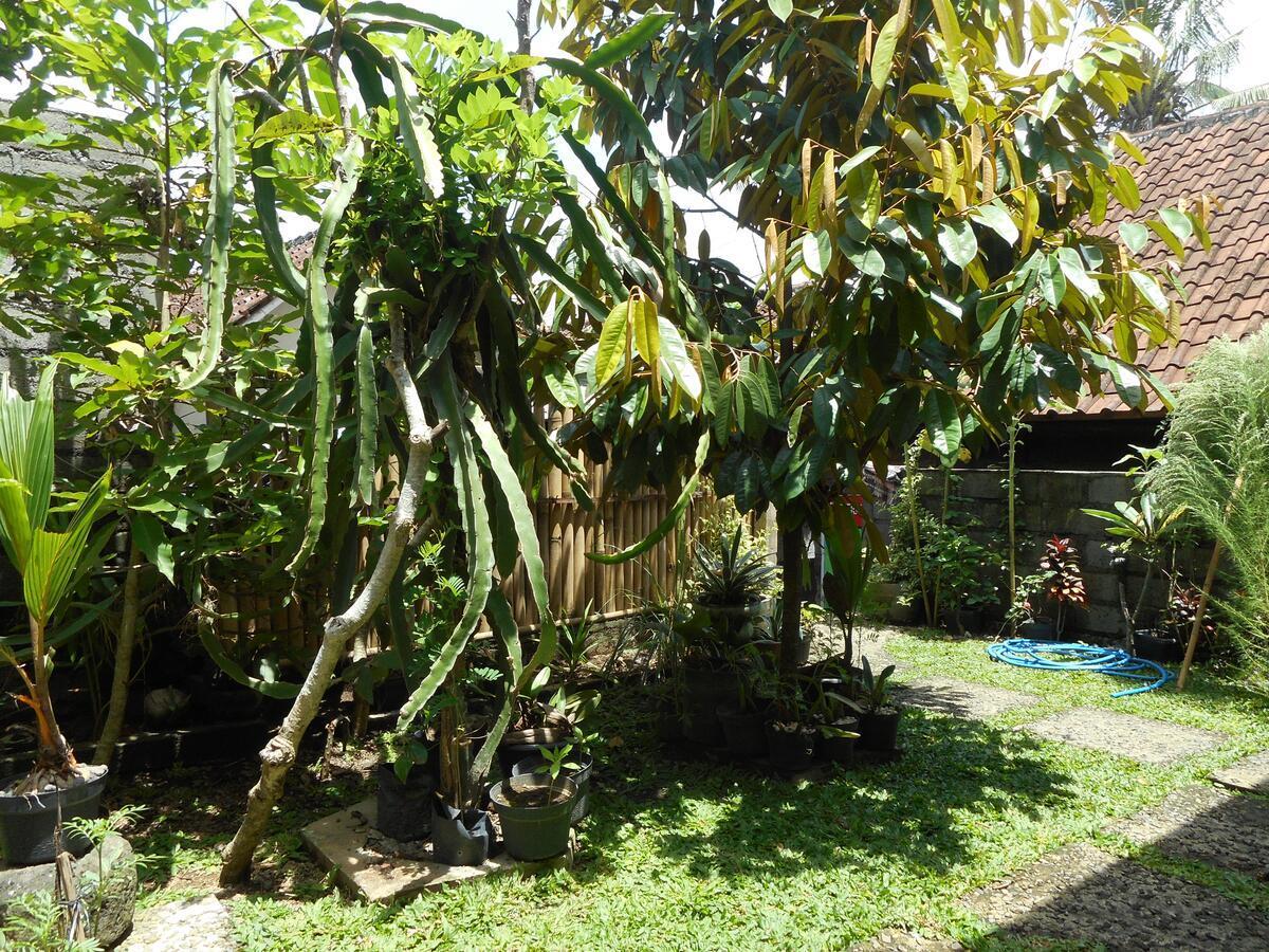 Ming Homestay Sidemen  Exteriér fotografie